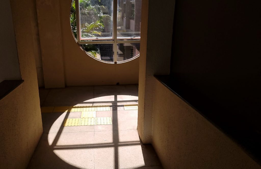 Através das janelas - Por Vitória Regina Tinôco